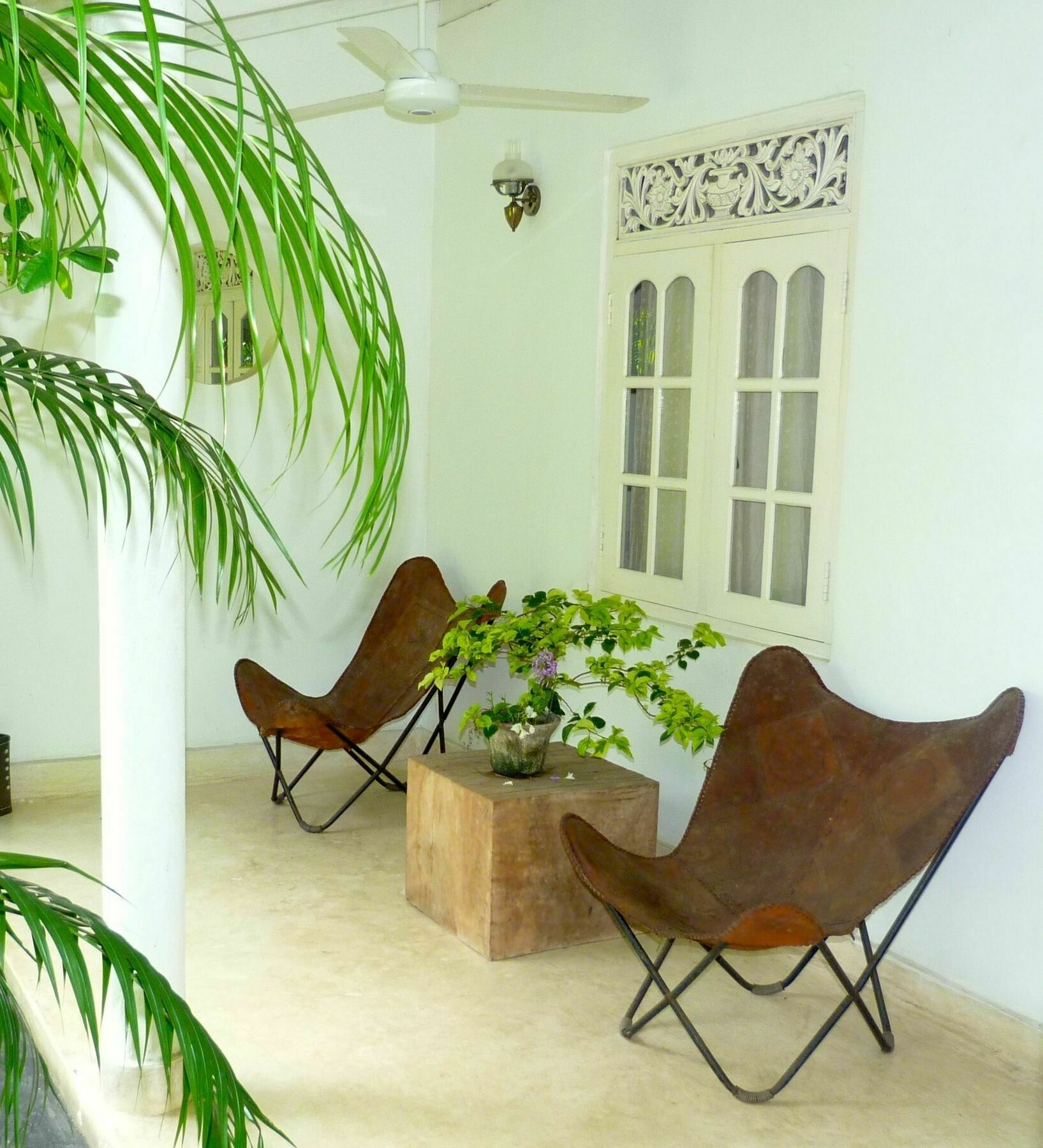 Fire Dragon Hideaway Hotel Negombo Exterior photo